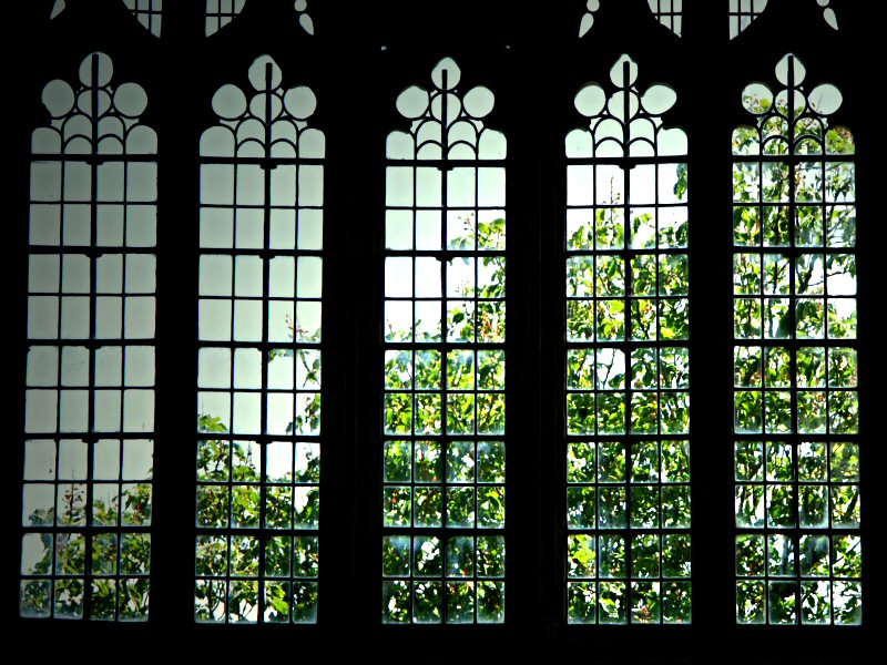 St. Winifred, Branscombe