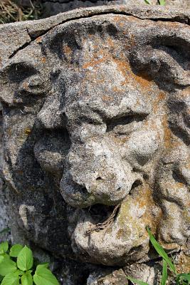Lion Face.jpg
