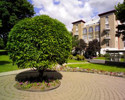 Arbre urbain dans son isoloir .jpg