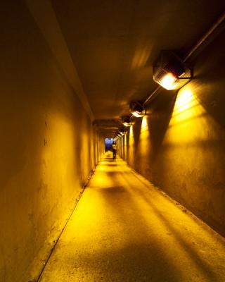Tunnel_Melrose.jpg