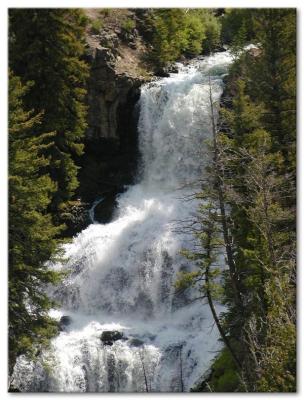 u47/mcwilliams/medium/30190912.Yellowstone03009.jpg