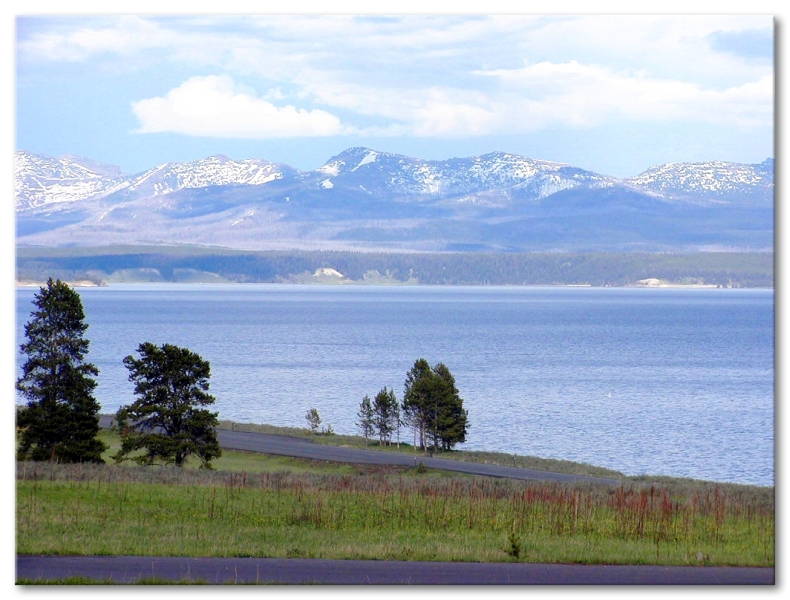 Yellowstone Lake View From Bridge Bay Campground