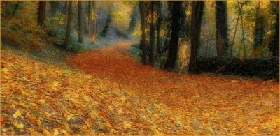 carriagetrail_2002-dreamy_w.jpg