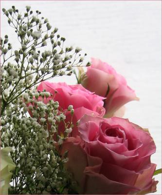 roses_web.jpg
