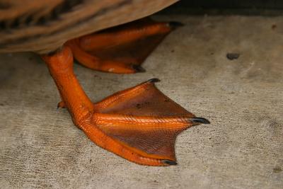 IMG_1172.jpg