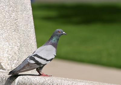 IMG_5968_web.jpg