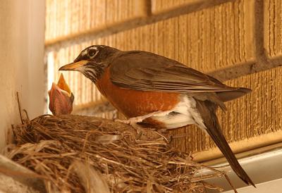 IMG_6188.jpg