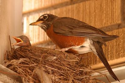 IMG_6190-copy.jpg