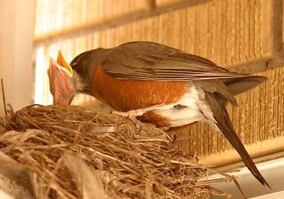 IMG_6191.jpg