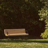 Lone Park Bench