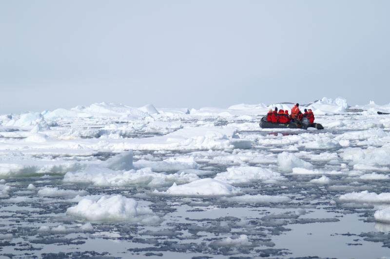 Iceflow Zodiac