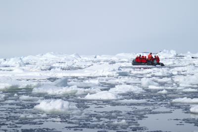 Iceflow Zodiac