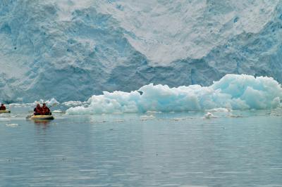 Glacier Encounter