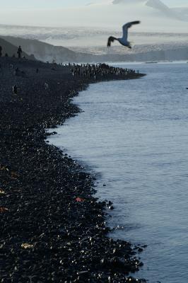 Black rock beach