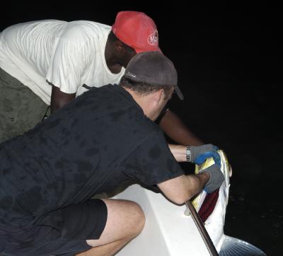 anthony and mike landing 65lb tarpon 06-20-04.jpg