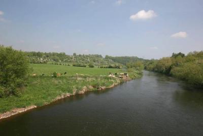 CRW_4977.jpg