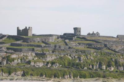 CRW_5971.jpg