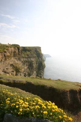 CRW_6008.jpg
