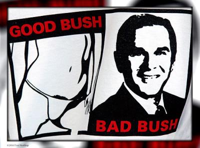 9752-good-bush-bad-bush.jpg
