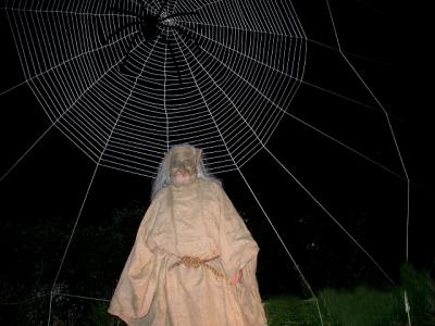 Don standing in front of his unfinished web...we were going to a party...