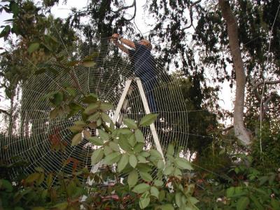 Don uses a clove hitch knot at each place a string crosses another string