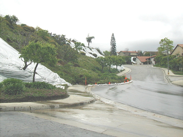 Three more houses on the hill...soil and plant material slid down the hill into the street