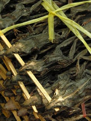 Dried Frog for Sale - Southern Laos