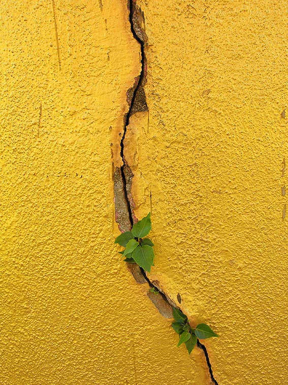 Wall detail - Thatluang Stupa - Vientiane