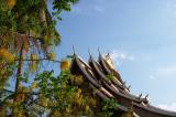 Temple - Luang Prabang