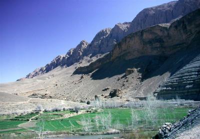 Dades Gorge