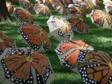 Butterflies in Battery Park