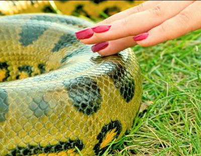 Ssssmmmmoooooth