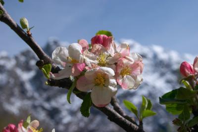 CRW_0330.jpg