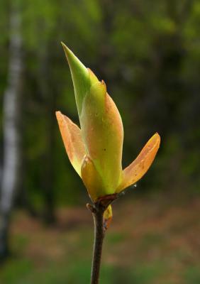 CRW_0444.jpg