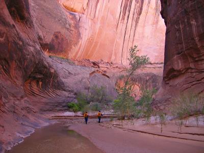 Capitol Reef National Park