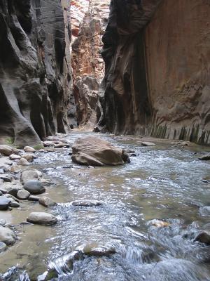 Narrows of Zion National Park