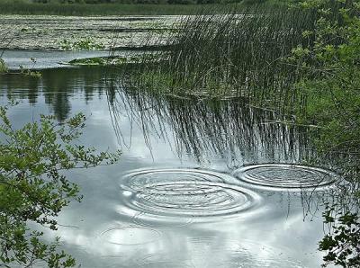 Ripples