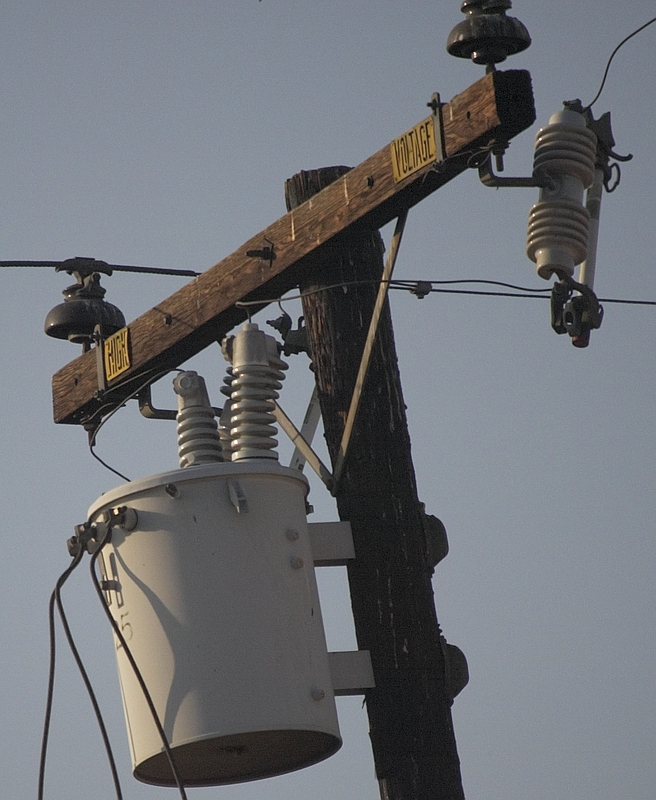 Handheld @ 500mm. ISO 400