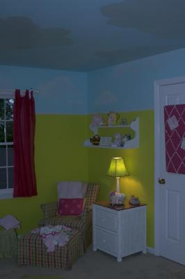 Evelyn's nursery