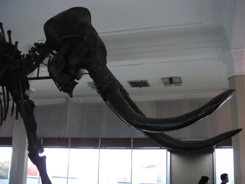 ..found in a coal mine