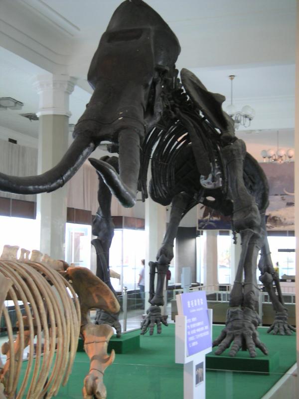 PICT1529.JPG