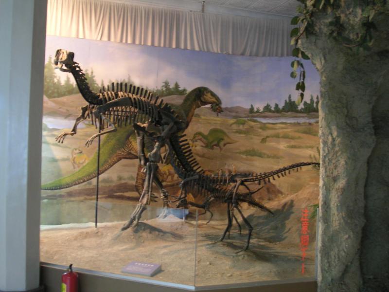 Dinosaur skeleton
