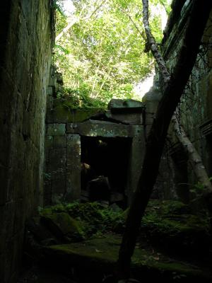 Dark corridors & lichen covered stonework