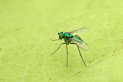CRW_7028.jpg