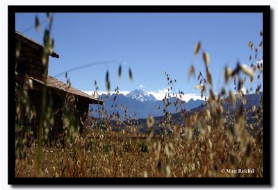 Glacier Through the Wheet Field, Chinchero, Peru