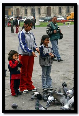 Feeding the Pigeons at Plaza Mayor, Lima, Peru