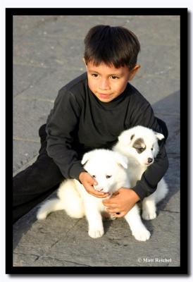 Little Boy with his Puppies, Plaza Mayor Lima, Peru