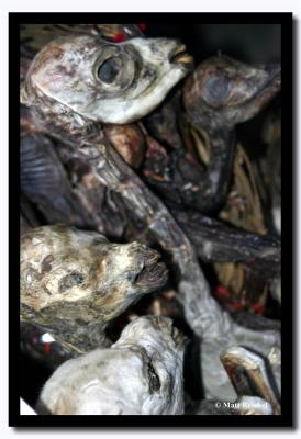 Llama Fetuses for Razing Evil Spirits at the Witchcraft Market, La Paz, Bolivia