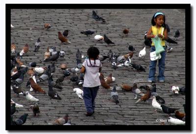 Playing With the Pigeons, Quito, Ecuador