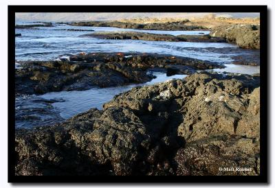 Isla Santiago Coastal Landscape, Galapagos